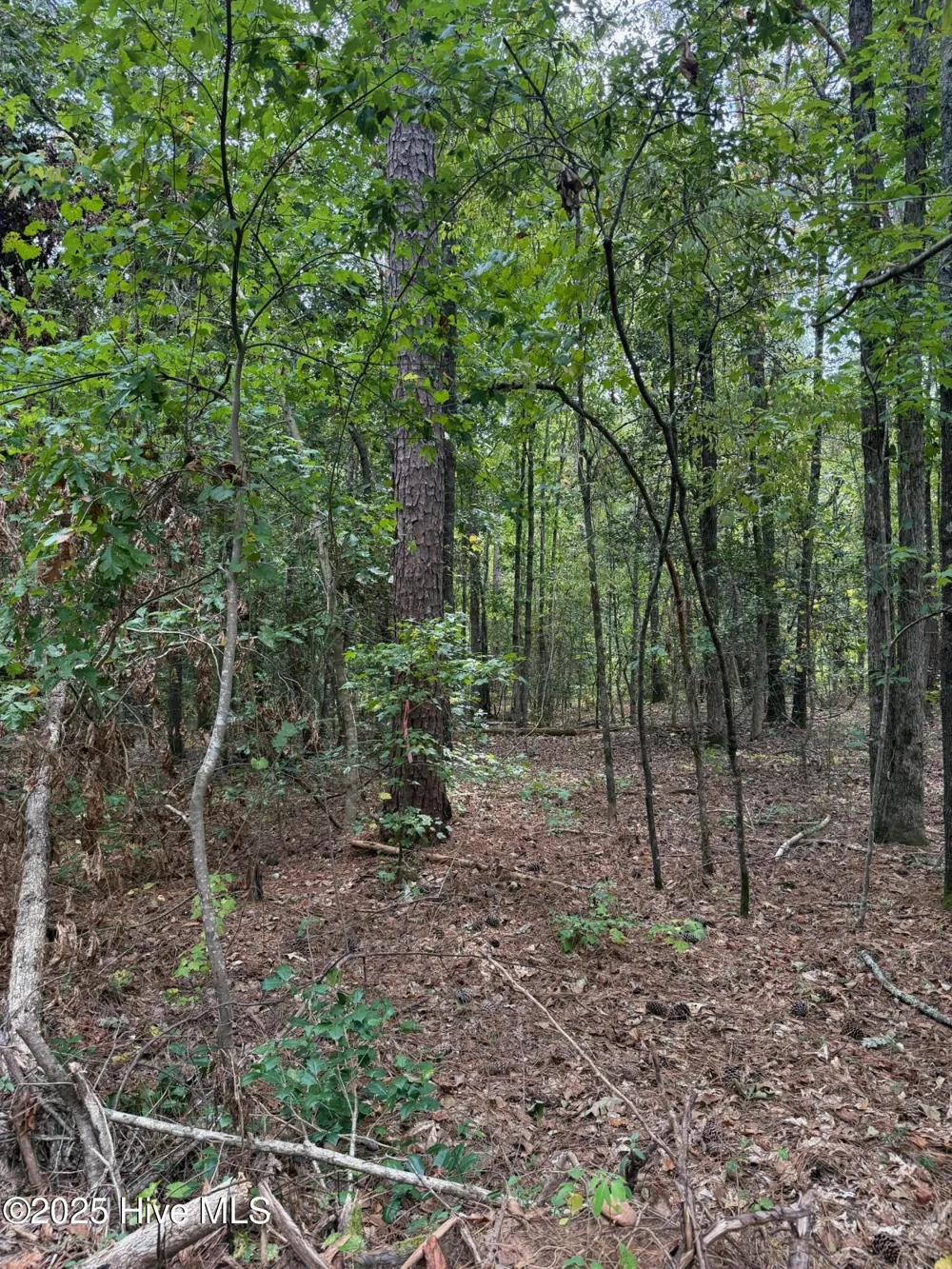 122 State Lane Rockingham, NC 28379