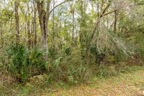 LAKE LINDSEY TRACT 2 ROAD