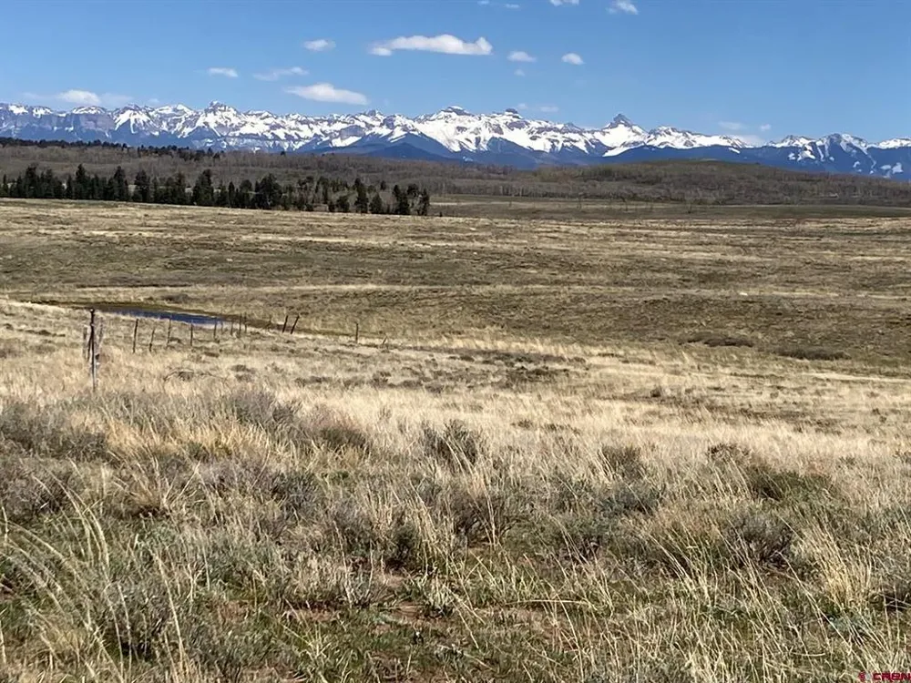 11 62X ROAD Placerville, CO 81430