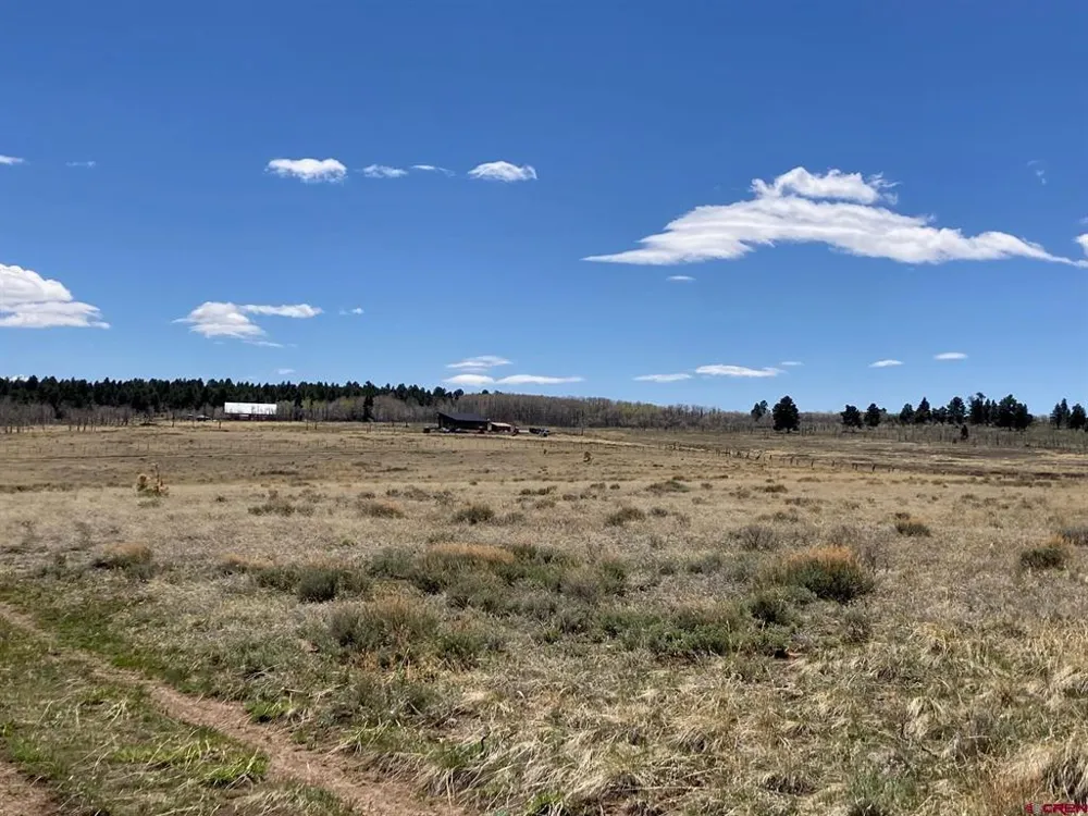 11 62X ROAD Placerville, CO 81430