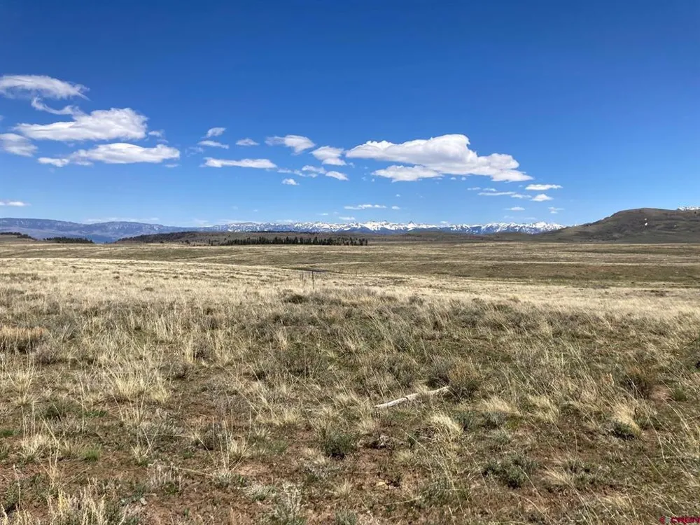 11 62X ROAD Placerville, CO 81430