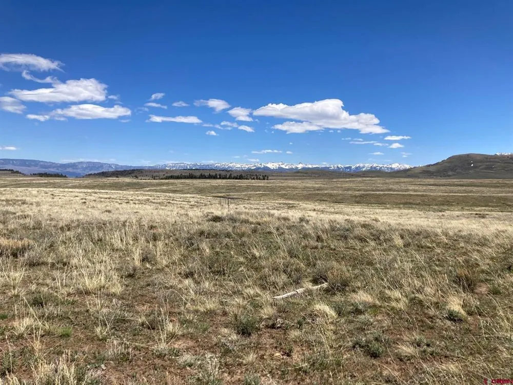 11 62X ROAD Placerville, CO 81430