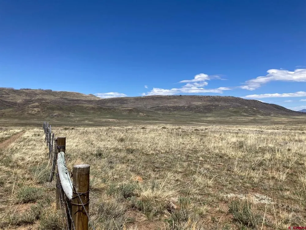 11 62X ROAD Placerville, CO 81430