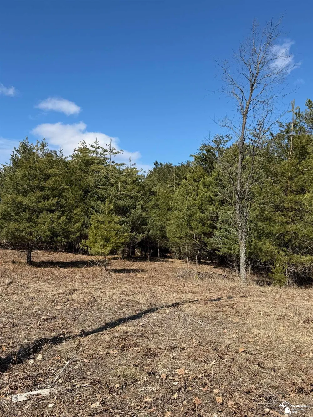 Chippewa Trail Trail Evart Township, MI 49631