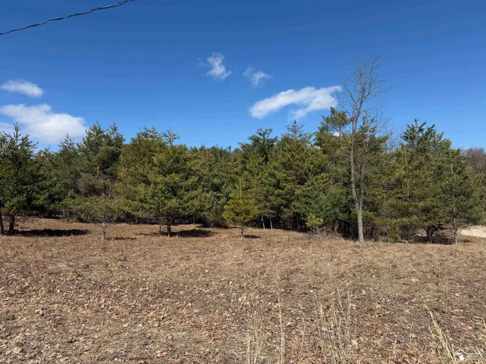 Chippewa Trail Trail Evart Township, MI 49631
