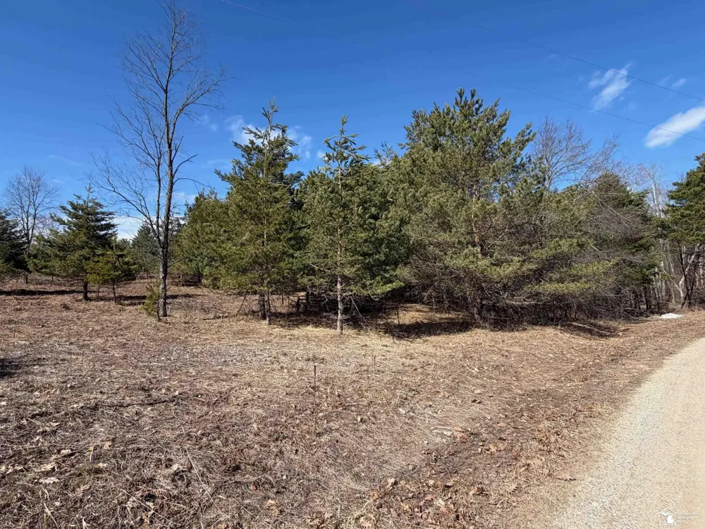 Chippewa Trail Trail Evart Township, MI 49631