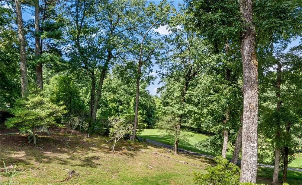 1502 Greenstreet Drive Traphill, NC 28685