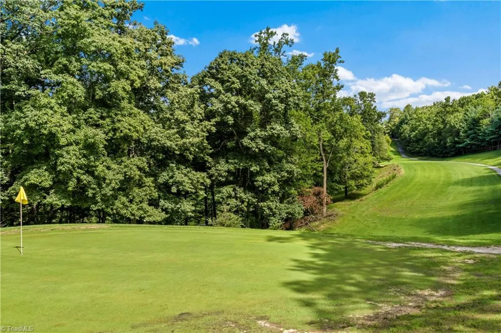 1502 Greenstreet Drive Traphill, NC 28685
