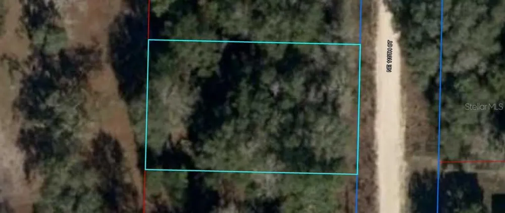 NE 110TH COURT Williston, FL 32696