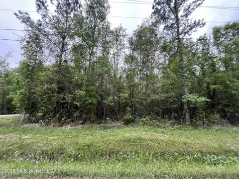 Lot 1 Cedar Drive