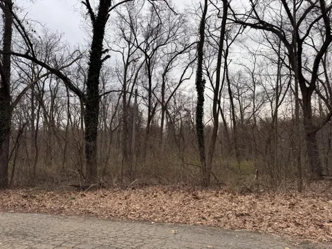 Lakeview Drive