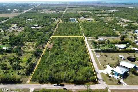 Pinetree Boulevard