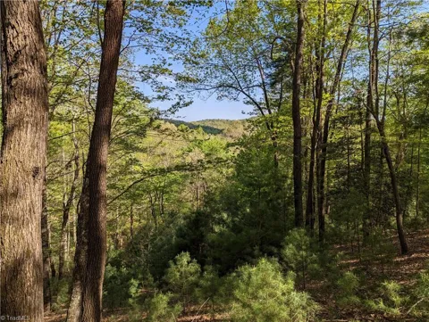TBD Sutters Ridge Road #Lot 94