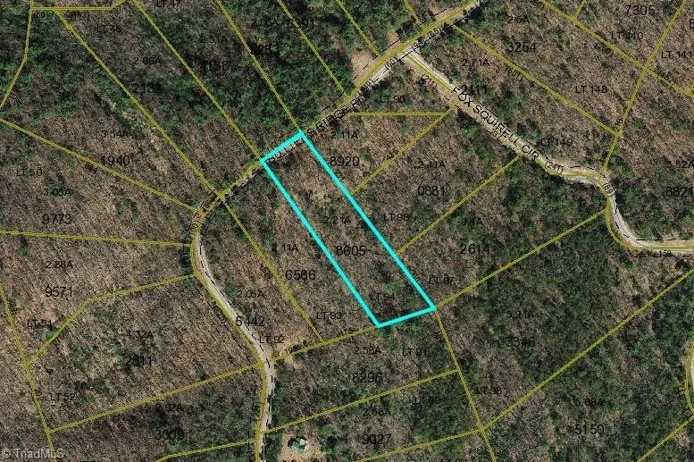 TBD Sutters Ridge Road #Lot 94 McGrady, NC 28649