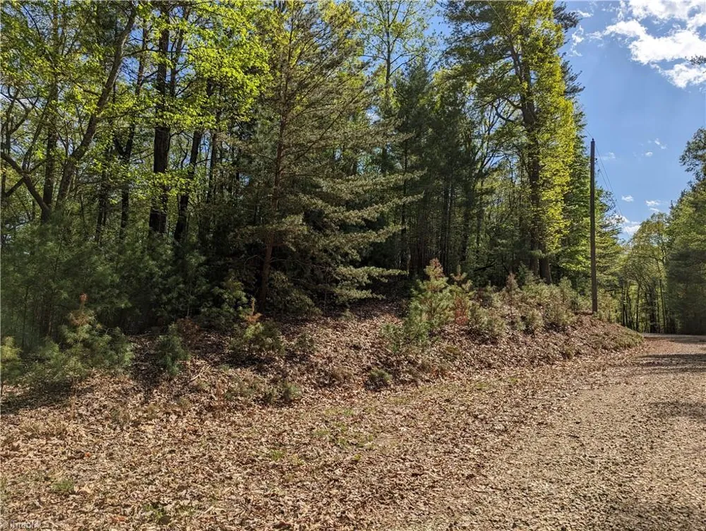 TBD Sutters Ridge Road #Lot 94 McGrady, NC 28649