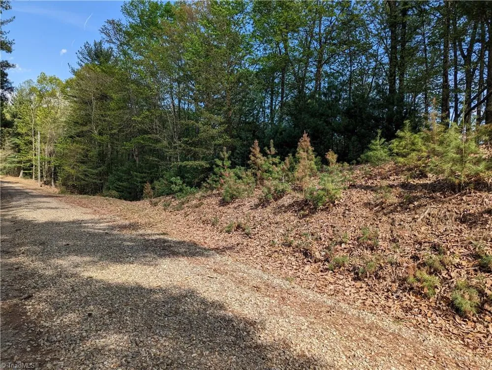 TBD Sutters Ridge Road #Lot 94 McGrady, NC 28649