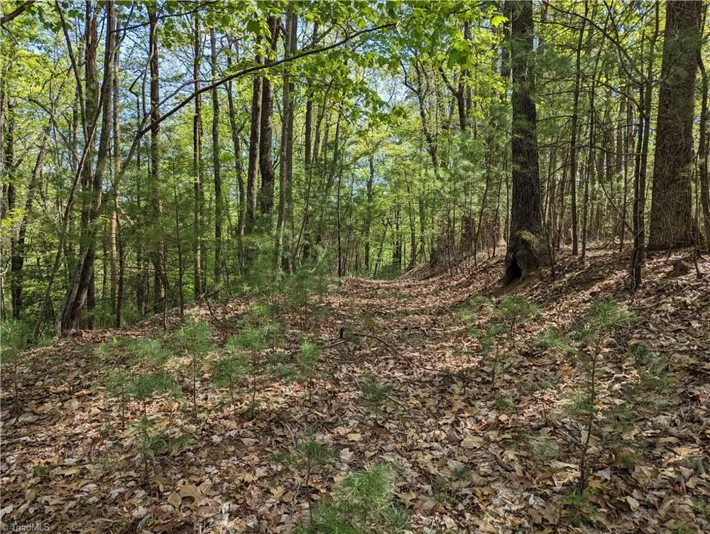 TBD Sutters Ridge Road #Lot 94 McGrady, NC 28649