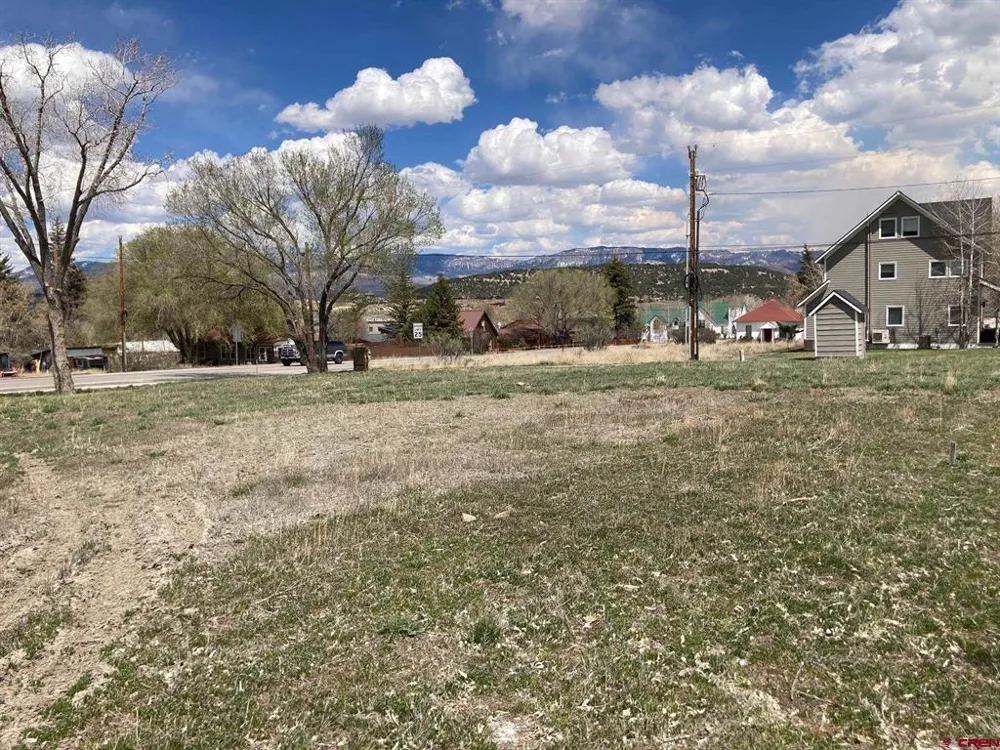 134 S Charlotte Street Ridgway, CO 81432
