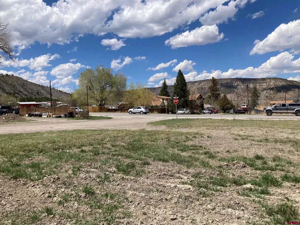 134 S Charlotte Street Ridgway, CO 81432
