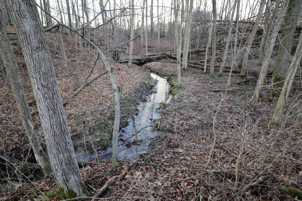 W Glendora Road Buchanan, MI 49107