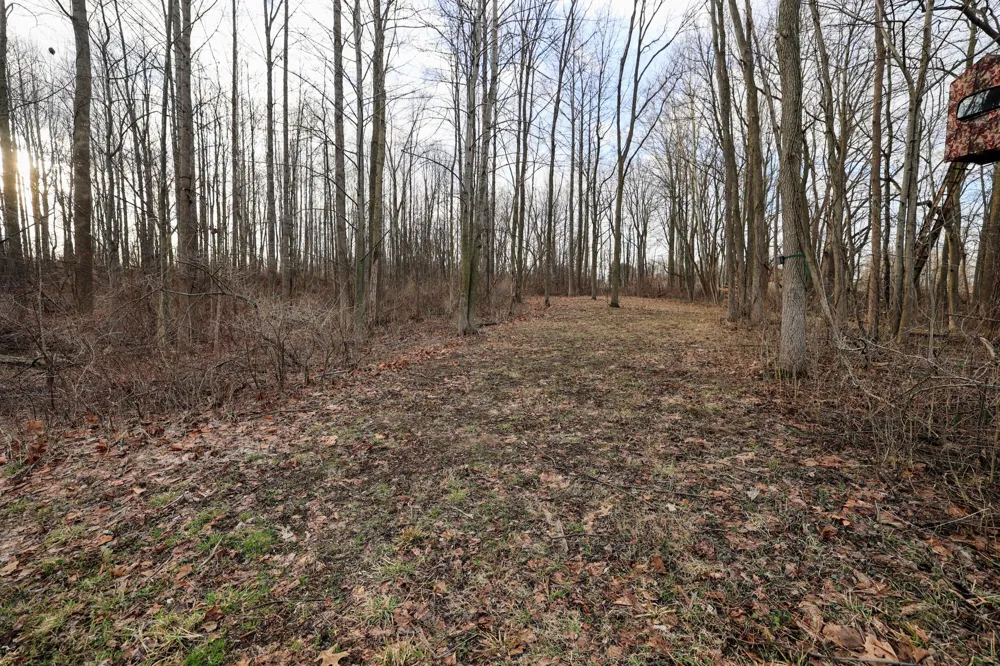 W Glendora Road Buchanan, MI 49107