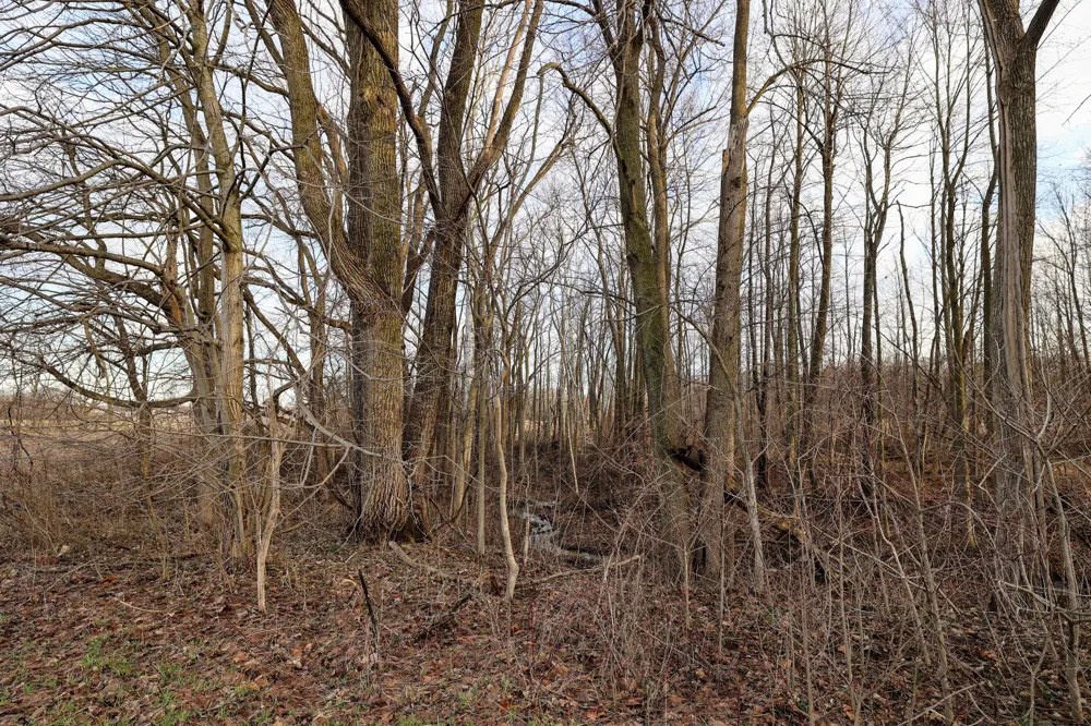 W Glendora Road Buchanan, MI 49107