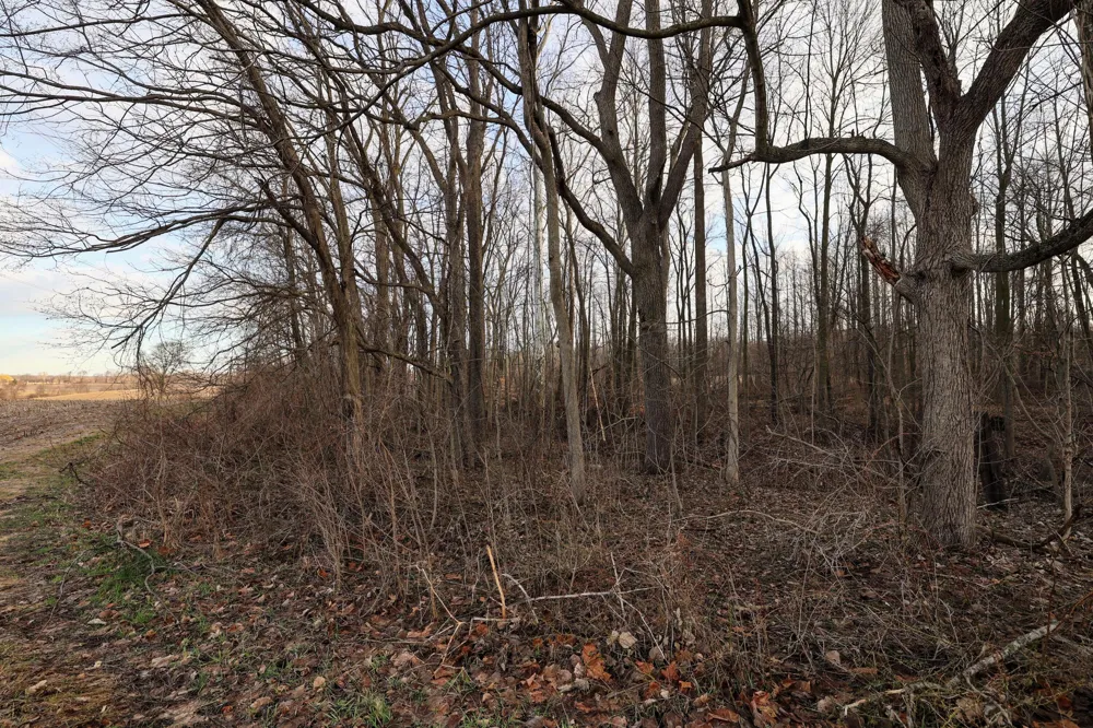 W Glendora Road Buchanan, MI 49107
