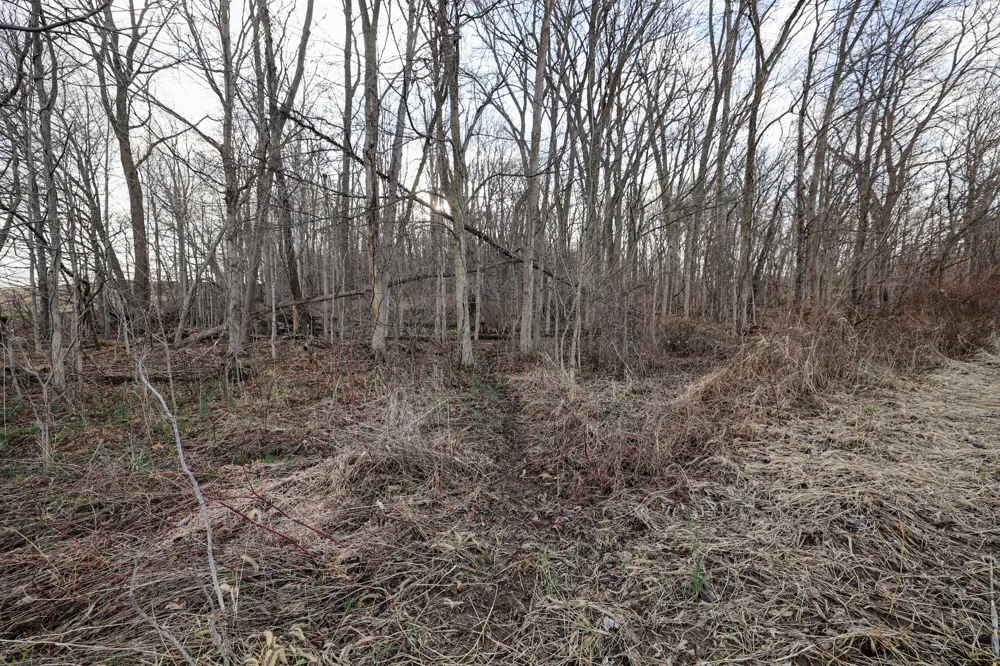 W Glendora Road Buchanan, MI 49107