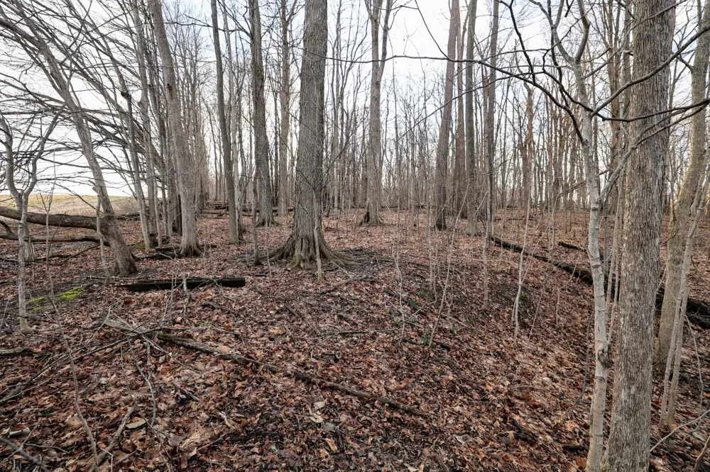 W Glendora Road Buchanan, MI 49107
