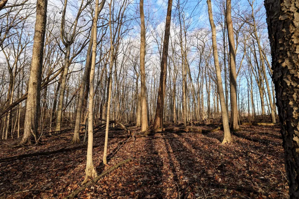 W Glendora Road Buchanan, MI 49107