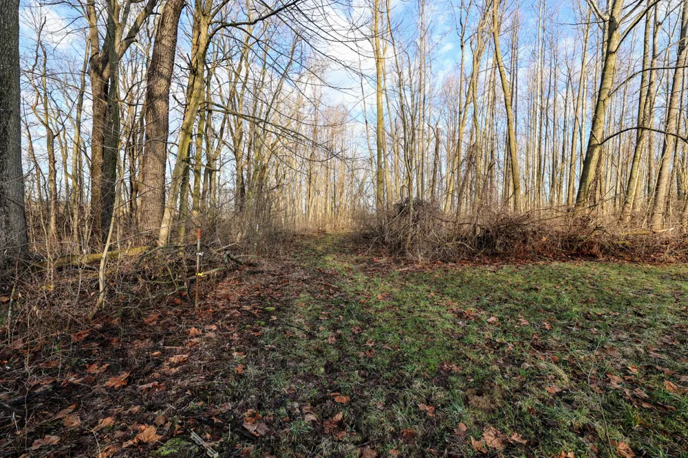 W Glendora Road Buchanan, MI 49107