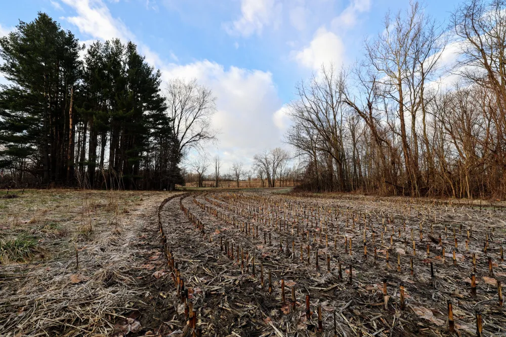 W Glendora Road Buchanan, MI 49107