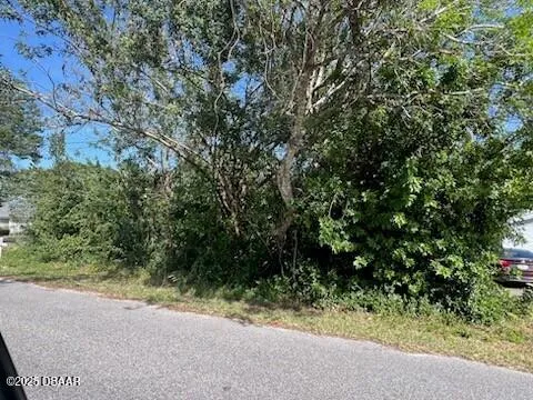 1959 Forest Avenue Daytona Beach, FL 32119