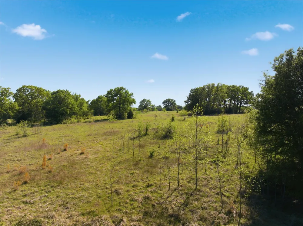 Fm 3371 Groesbeck, TX 76642