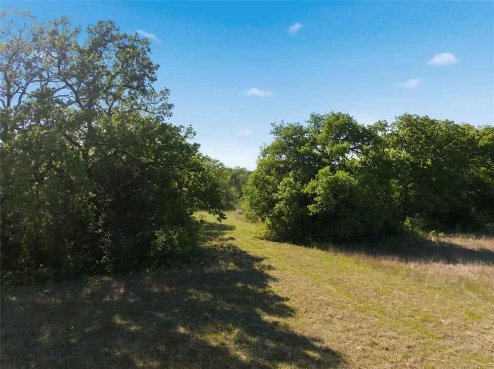 Fm 3371 Groesbeck, TX 76642