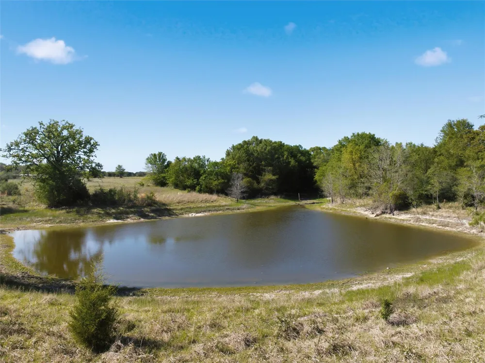Fm 3371 Groesbeck, TX 76642