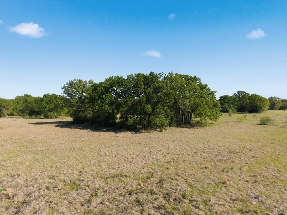 Fm 3371 Groesbeck, TX 76642