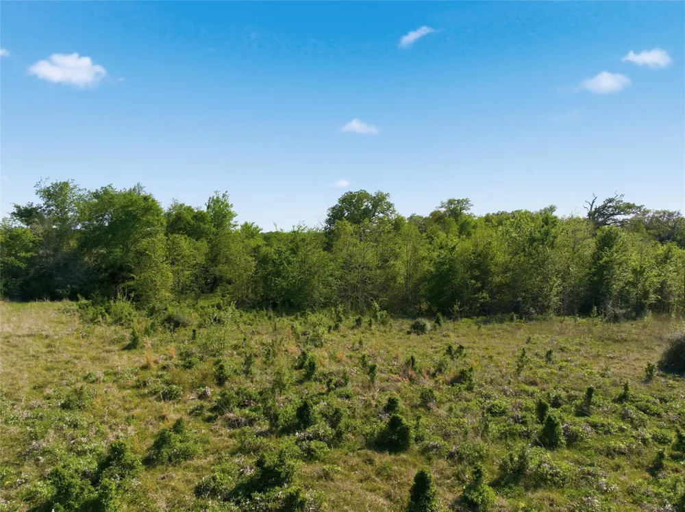 Fm 3371 Groesbeck, TX 76642