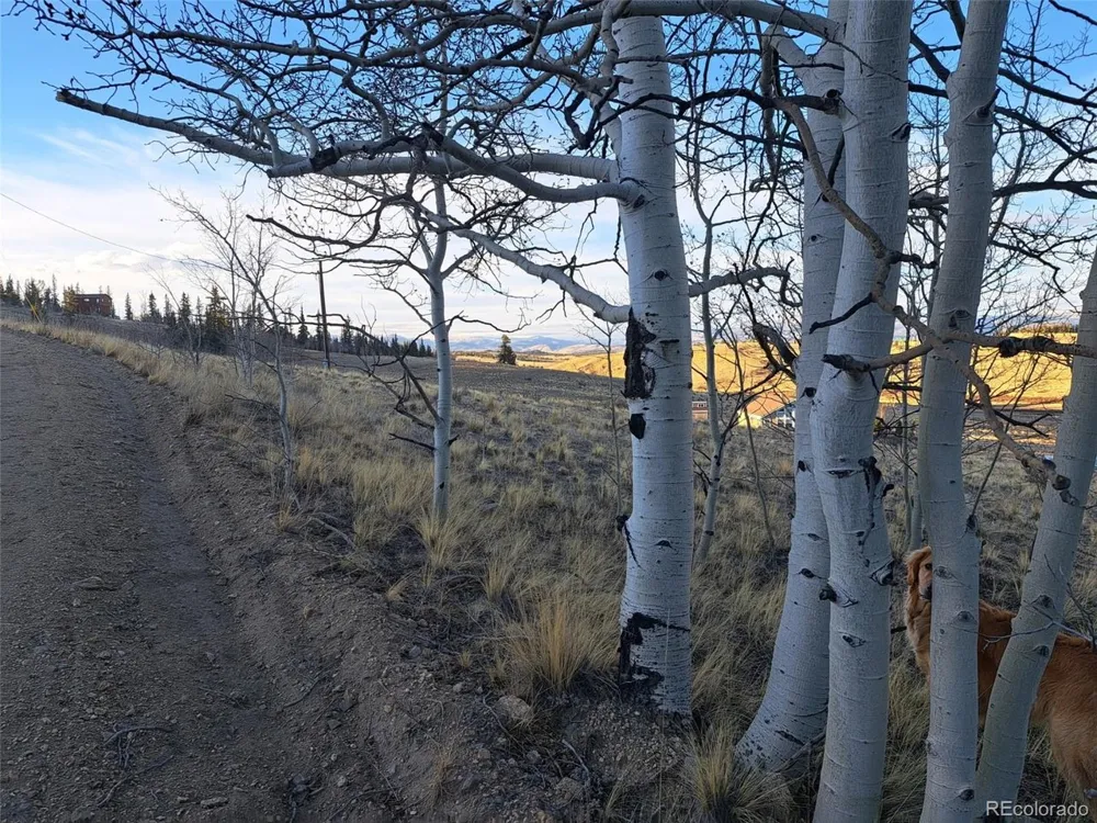 541 War Lane Como, CO 80432