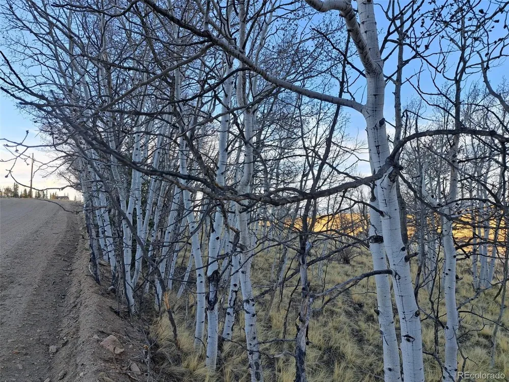 541 War Lane Como, CO 80432