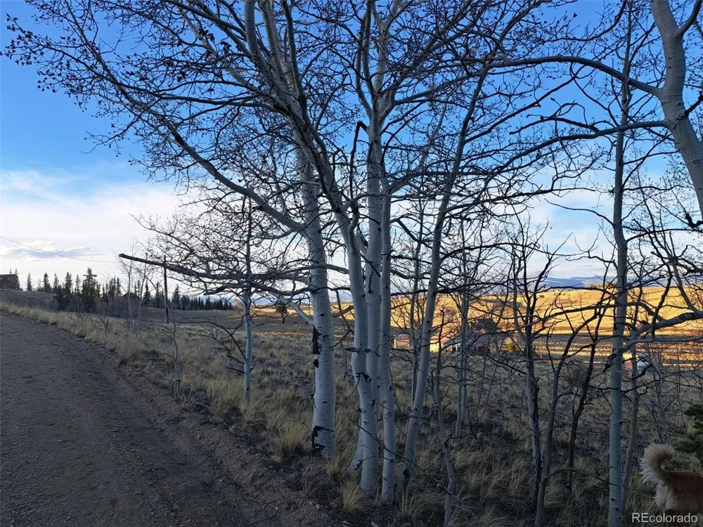 541 War Lane Como, CO 80432