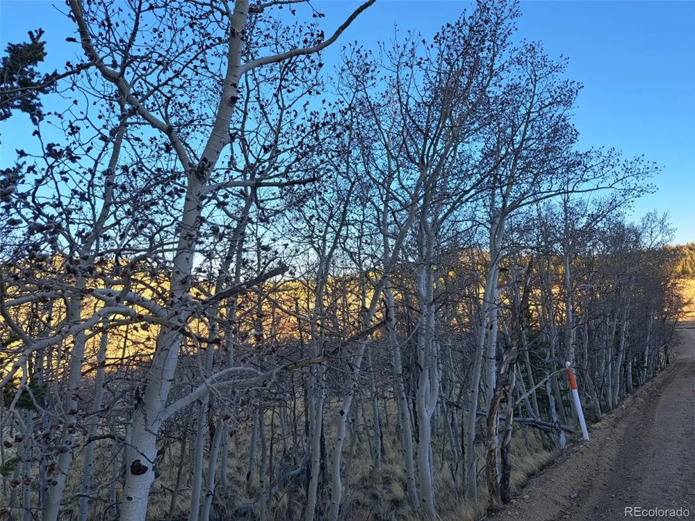 541 War Lane Como, CO 80432