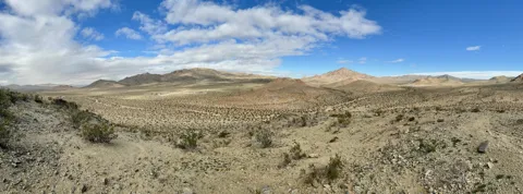 Wild Wash Road