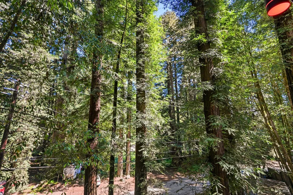 14685 Willow Road Guerneville, CA 95446