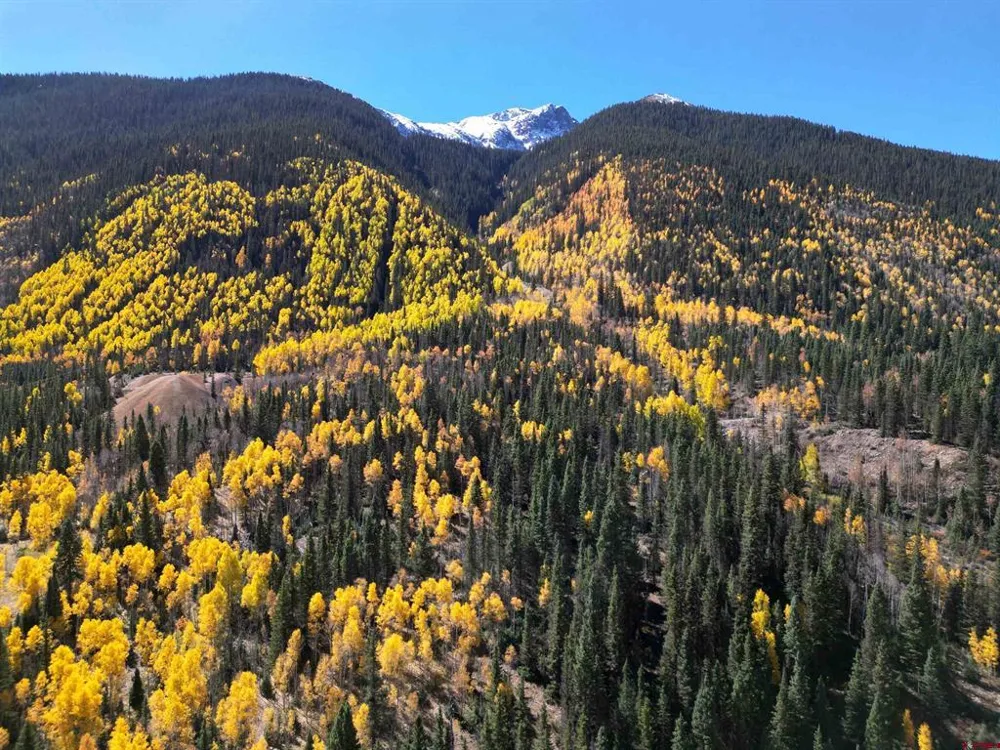 69715 Highway 550 N Silverton, CO 81433
