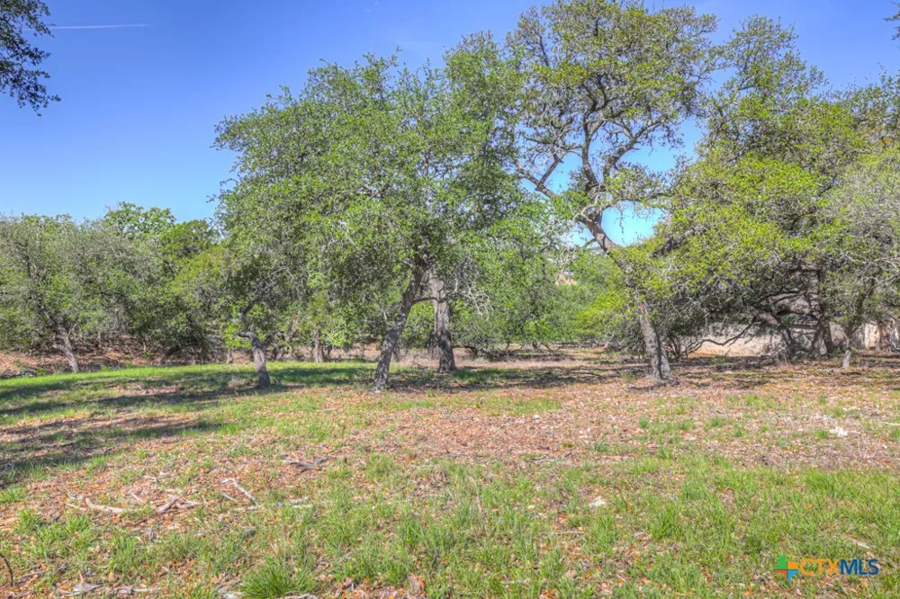 1215 Trailhead New Braunfels, TX 78132