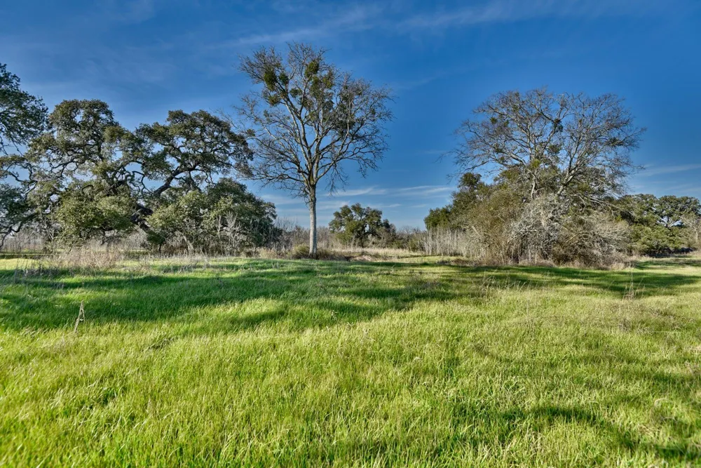 1855 Fm 1948 Views Burton, TX 77835