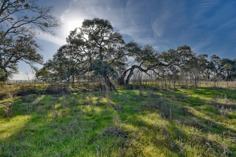 1855 Fm 1948 Views Burton, TX 77835