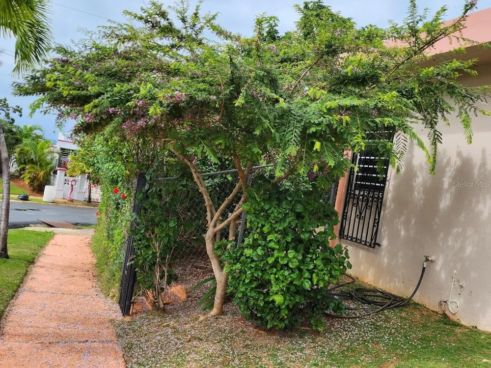 4-14 bloque 4k-10 ALTURAS DE MONTE BRISAS Fajardo, PR 00738
