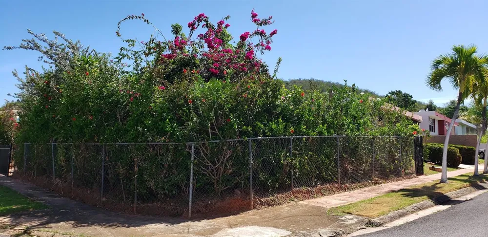 4-14 bloque 4k-10 ALTURAS DE MONTE BRISAS Fajardo, PR 00738
